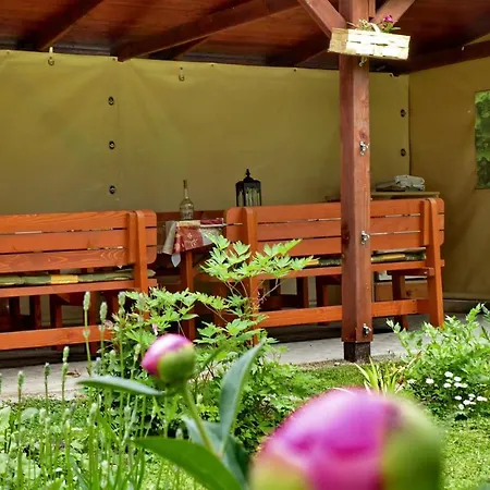 Illes Vendeghaz Guest house *