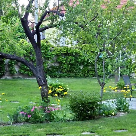 Guest house Illes Vendeghaz