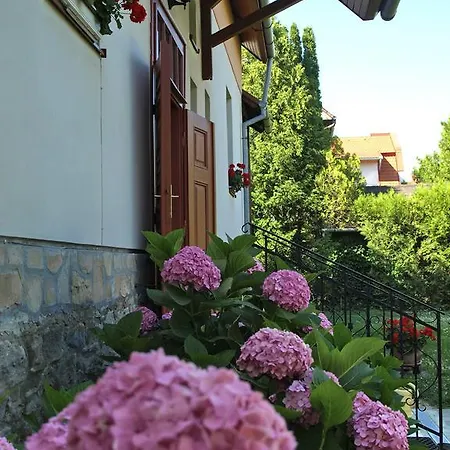 Illes Vendeghaz Gæstehus