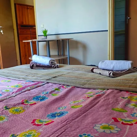 Illes Vendeghaz Guest house *