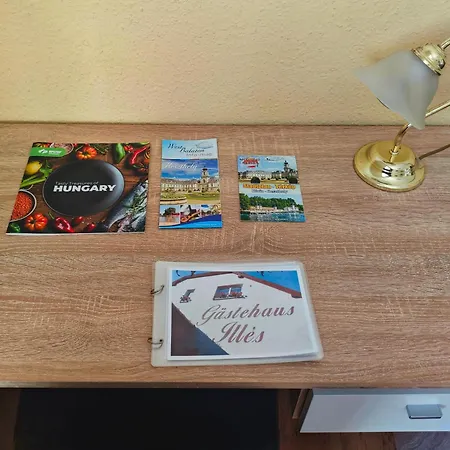 Illes Vendeghaz Guest house *