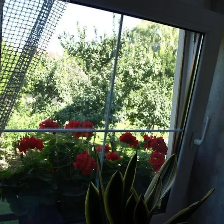 以利亚小屋旅馆
