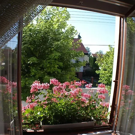 Illes Vendeghaz Guest house *