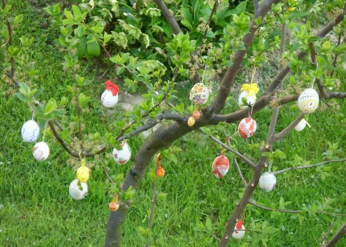 Illes Vendeghaz קסזטלי