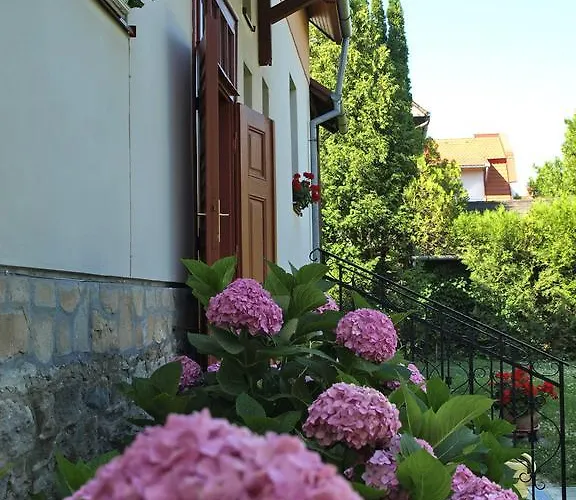 Illés Maison d'hôtes