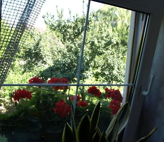 Illes Vendeghaz