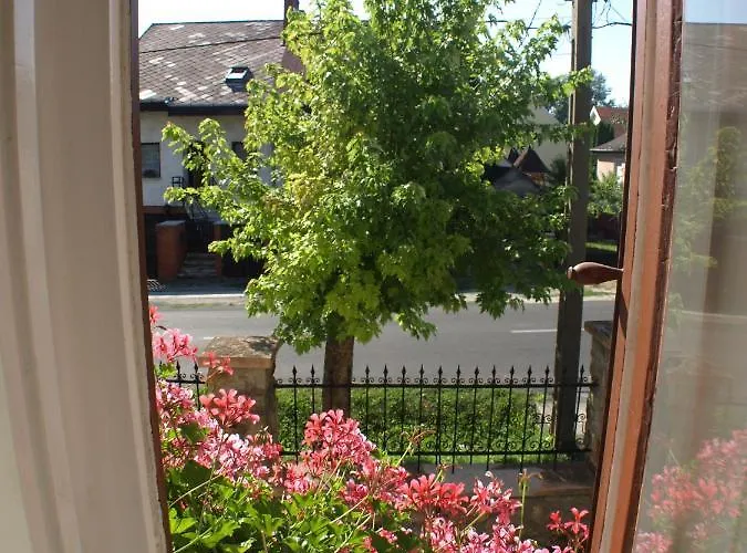 Illes Vendeghaz בית הארחה קסזטלי