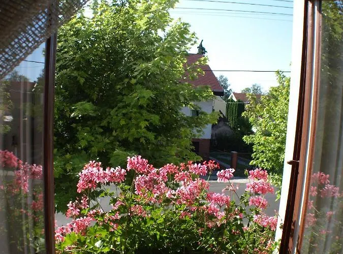 Illes Vendeghaz בית הארחה 3*